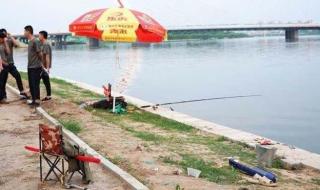 男子钓到一溺亡老人 男子钓到一溺亡老人