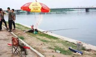 男子钓到一溺亡老人 男子钓到一溺亡老人